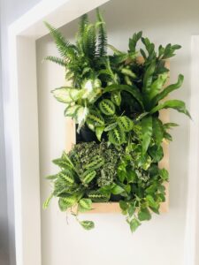 wood self watering plant wall